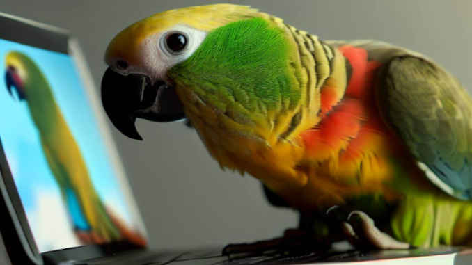 Eine Studie belegt den positiven Effekt von Video-Calls auf das Wohlbefinden von Papageien. (Symbolbild)